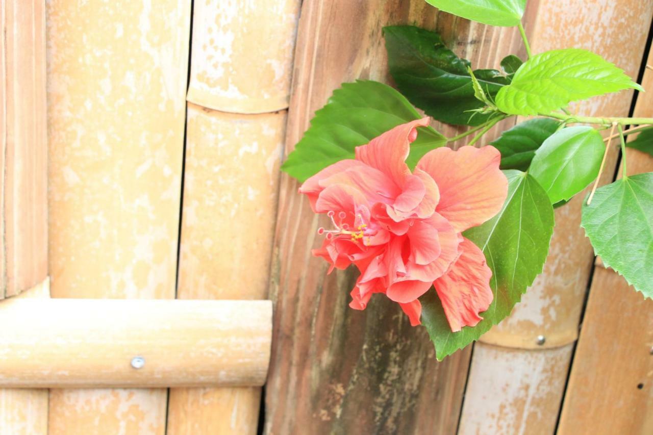 Hirayama Ryokan Iki Dış mekan fotoğraf